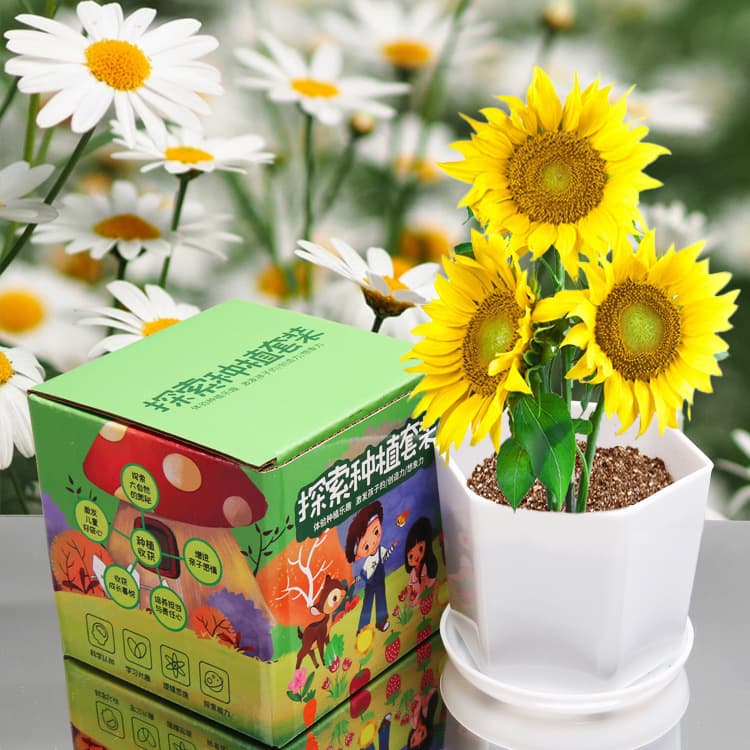 DIY Mini Pot Plant Gardening Kit view 2