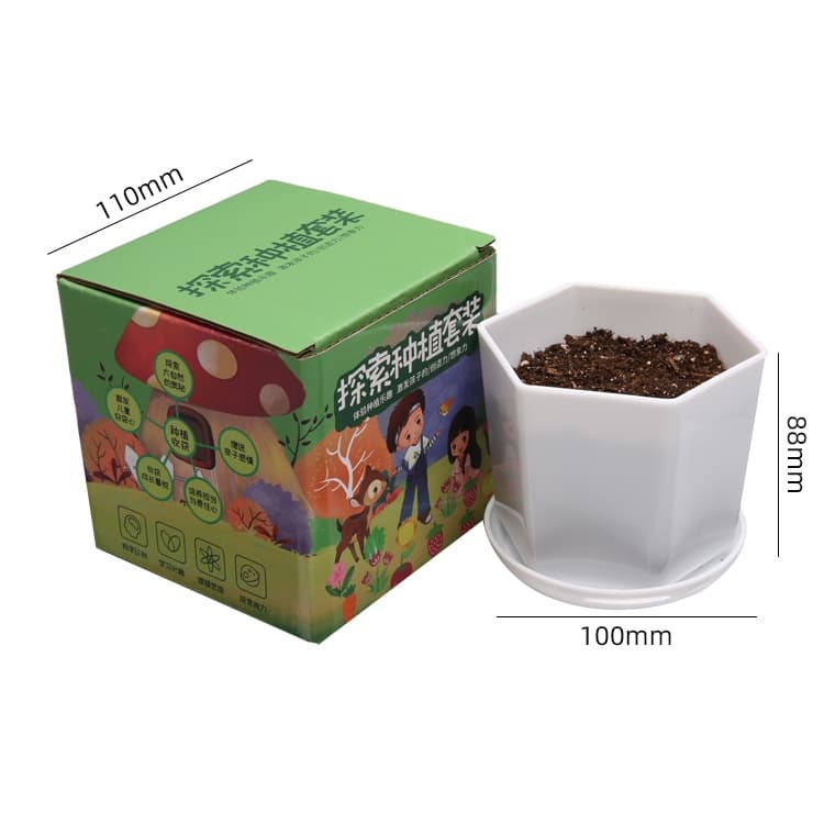 DIY Mini Pot Plant Gardening Kit view 4