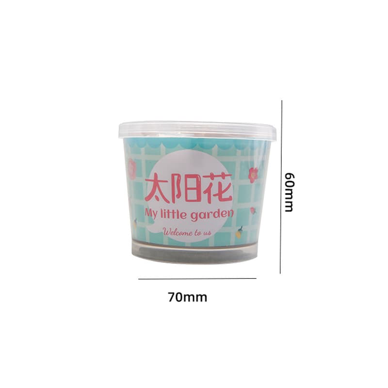 DIY Mini Pot Plant Gardening Kit view 5