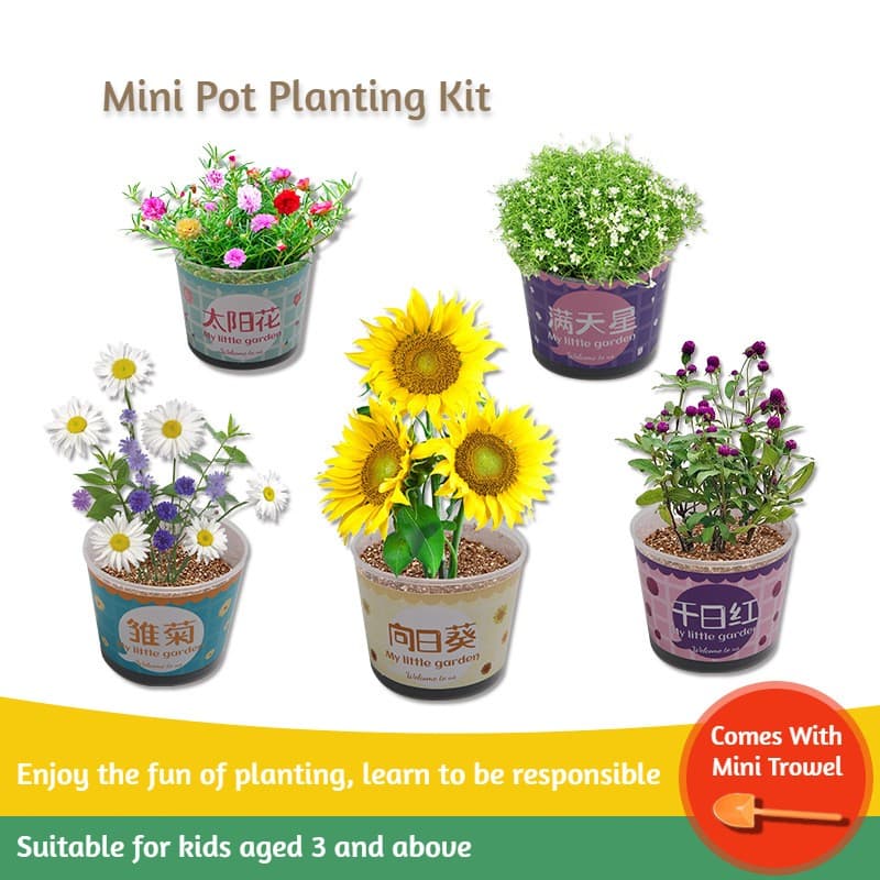 DIY Mini Pot Plant Gardening Kit